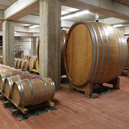 Poderi Firenze Guest House Cinigiano ภายนอก รูปภาพ