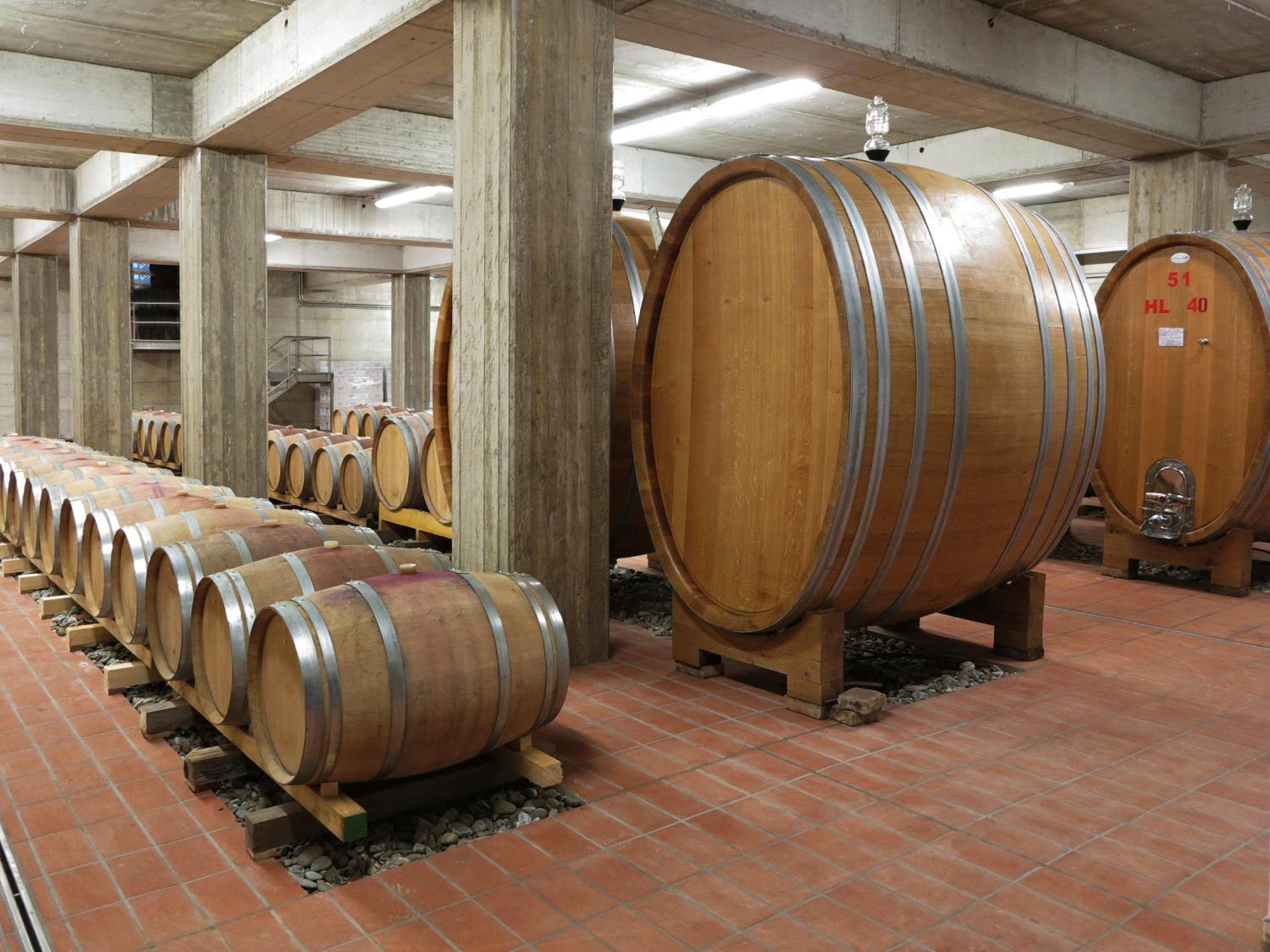 Poderi Firenze Guest House Cinigiano ภายนอก รูปภาพ