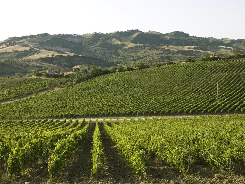 Poderi Firenze Guest House Cinigiano ภายนอก รูปภาพ